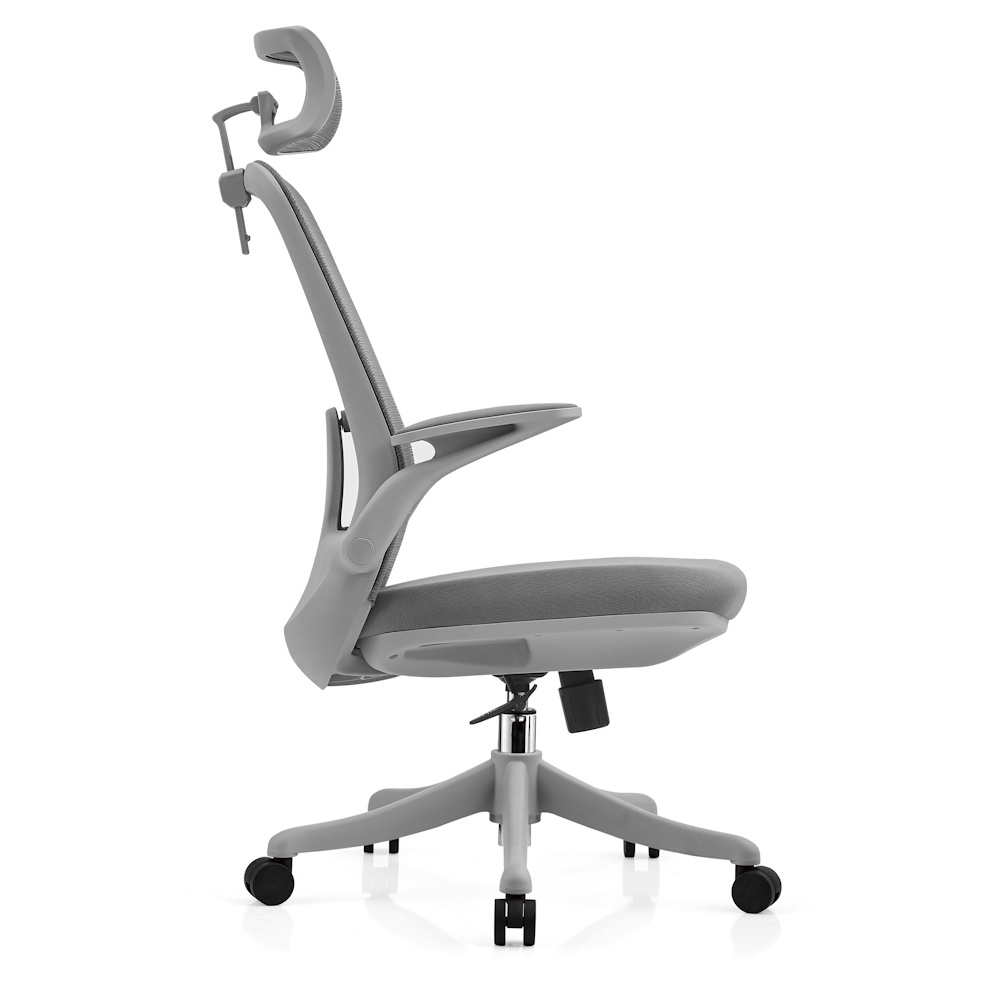 תמונה של כסא משרדי ארגונומי ergonix