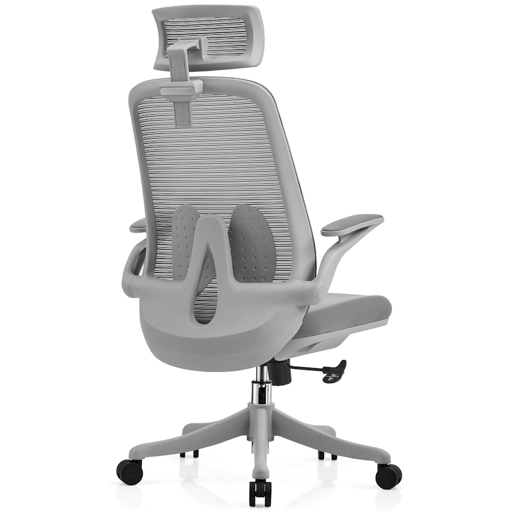 כסא משרדי ארגונומי ergonix