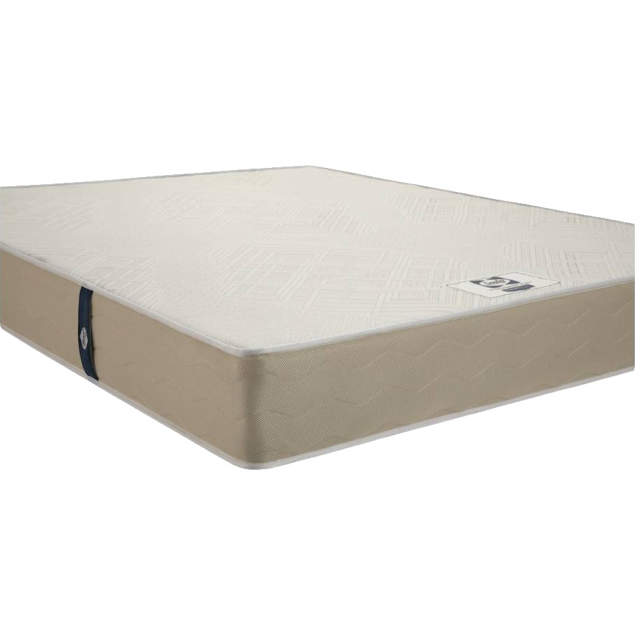 dormiva latex יחיד sealy