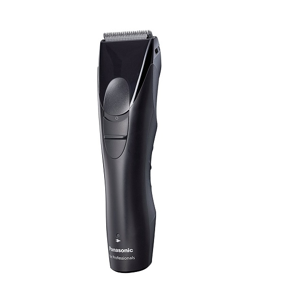 er-gp30 panasonic