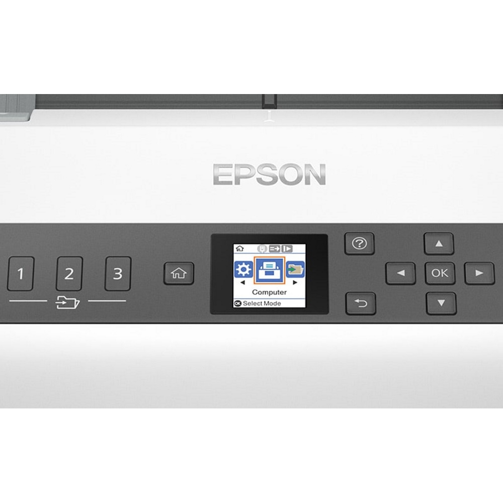 סורק רשת שולחני epson
