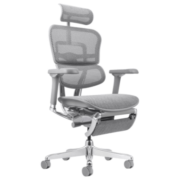 ergohuman pro אפור comfort