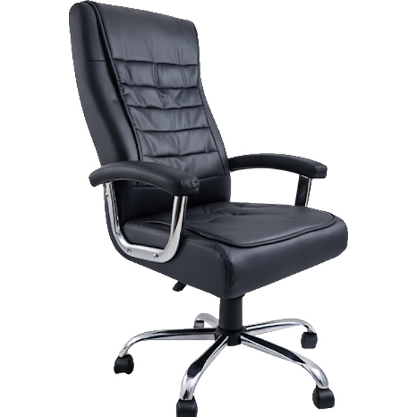 תמונה של כסא מנהלים ארגונומי ergonix