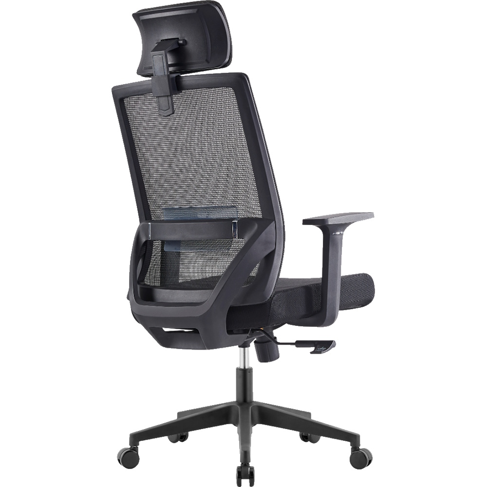 תמונה של כסא משרדי ארגונומי ergonix