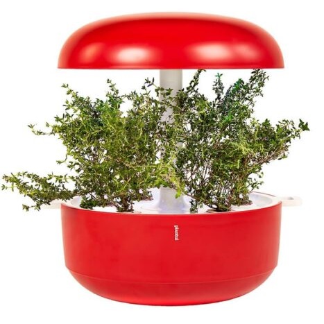 plantui 2 red plantui