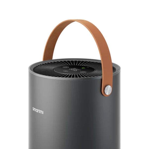 p1 smartmi