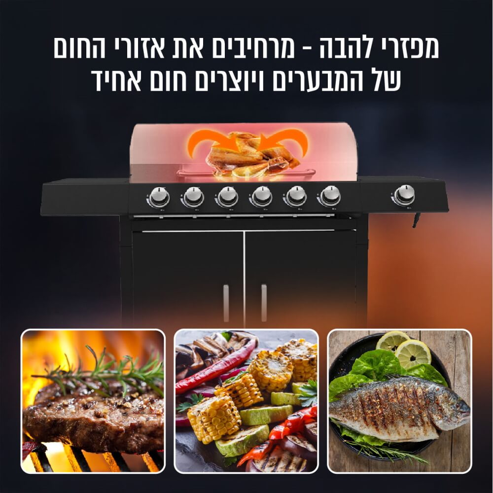 גריל גז 6 מבערים כולל כירת צד siriusliving
