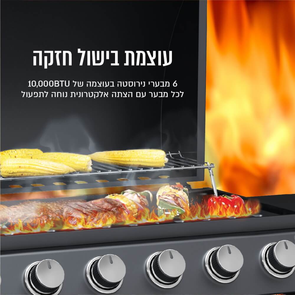 תמונה של גריל גז 6 מבערים כולל כירת צד siriusliving