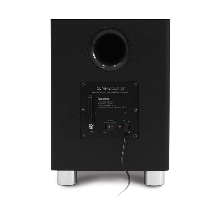 תמונה של מקרן קול pure acoustics