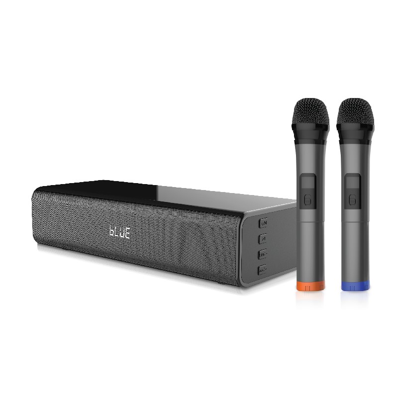מקרן קול כולל 2 מיקרופונים אלחוטיים pure acoustics