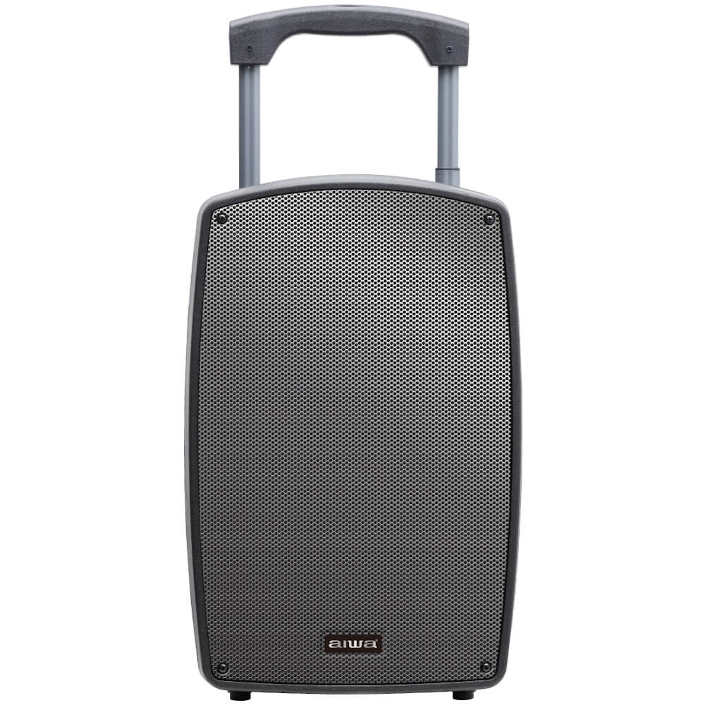 tsunami-12 aiwa