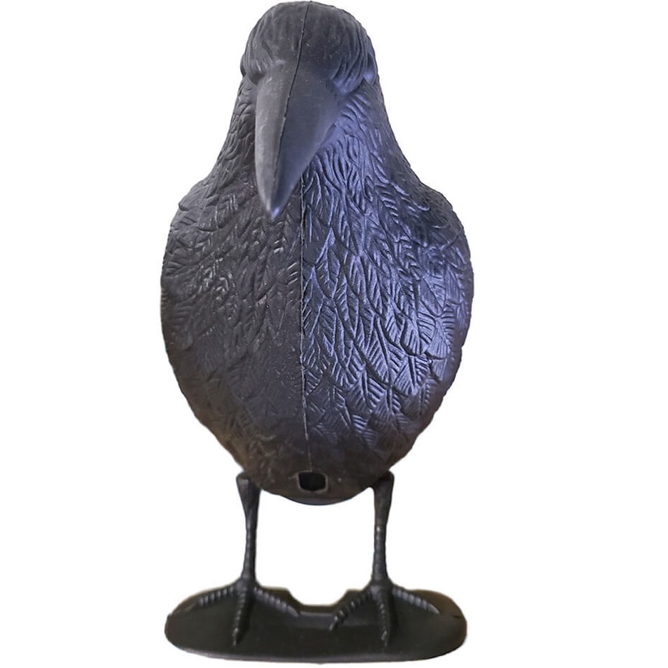 דחליל עורב owl market