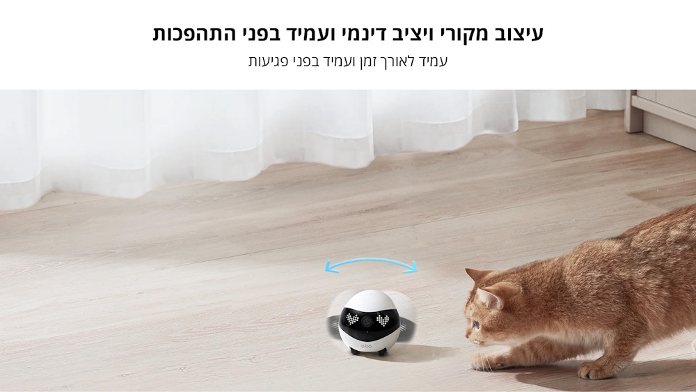 עיצוב מקורי, יציב ודינמי, עמיד בפני התהפכות