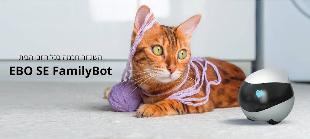 EBO SE FamilyBot השגחה חכמה בכל רחבי הבית