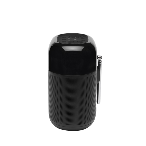 רמקול נייד jbl