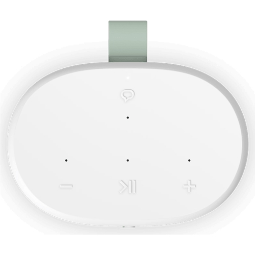 רמקול נייד חכם sonos