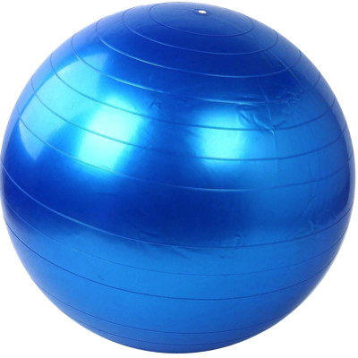 כדור פיזיו 65 ס״מ Sport &lrm;Physio Ball