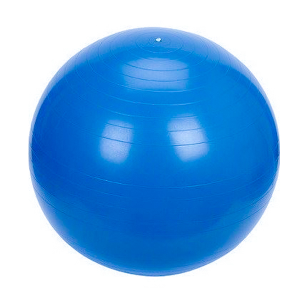 כדור פיסיו &lrm;Physioball Workout