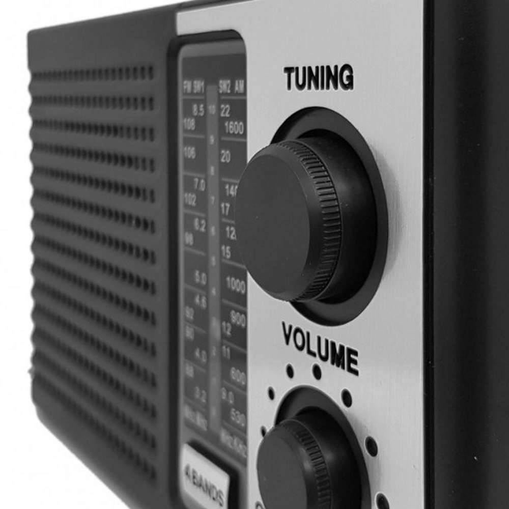 תמונה של רדיו נייד fm/am כולל סוללה נטענת pure acoustics